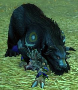 Salem the Conquerer. Just imagine that the quillboar is a member of the Alliance, like a gnome or a night elf.